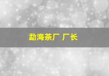 勐海茶厂 厂长